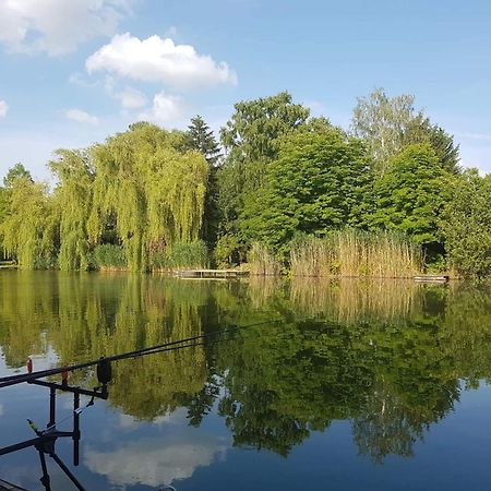 Villa Boglarka Horgasznyaralo Gyomaendrőd Exterior foto