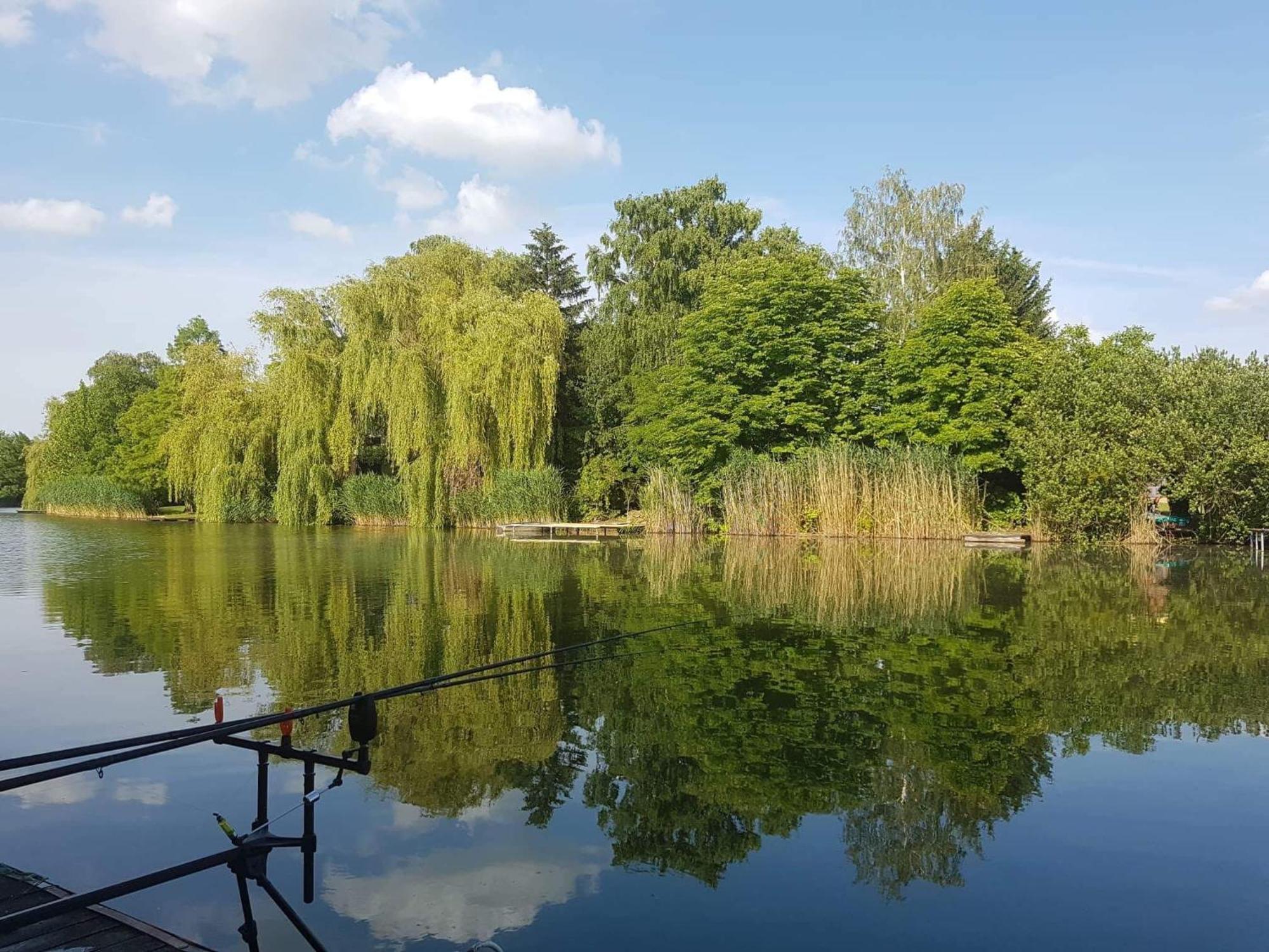 Villa Boglarka Horgasznyaralo Gyomaendrőd Exterior foto